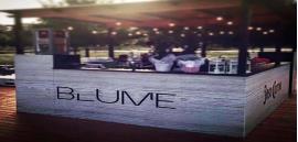 Foto Blume